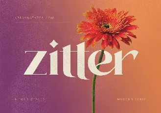 Zitter font