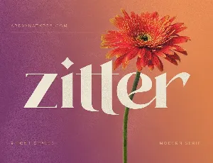 Zitter font