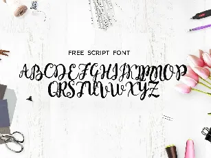 Monogram Script font