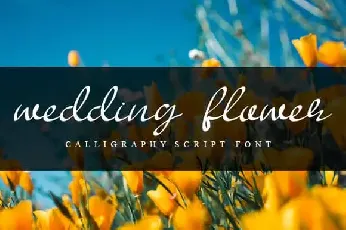 Tallenan Calligraphy font