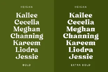 Heigan font