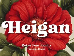 Heigan font