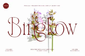 Bingkow font