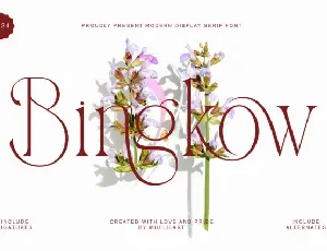 Bingkow font