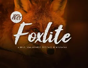 Foxlite font