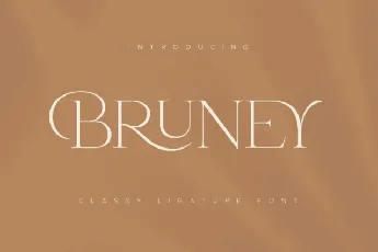 Bruney Typeface font