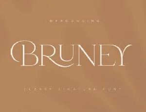 Bruney Typeface font