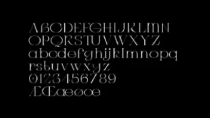 C4 Type font