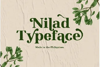 Nilad Modern Serif Typeface font