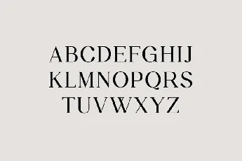 Daily Magazine Family font