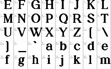 Daily Magazine Family font