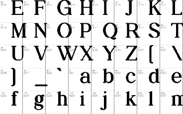 Daily Magazine Family font