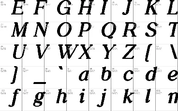 Daily Magazine Family font