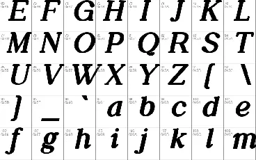 Daily Magazine Family font