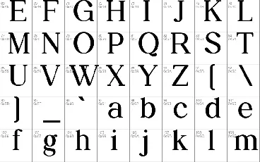 Daily Magazine Family font