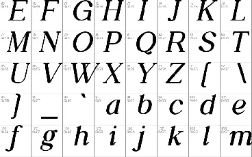 Daily Magazine Family font