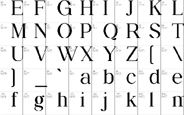 Daily Magazine Family font