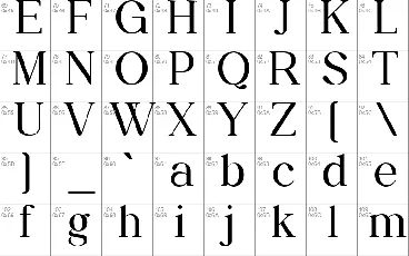 Daily Magazine Family font