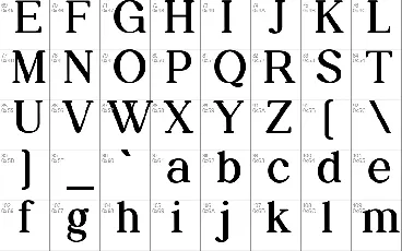 Daily Magazine Family font