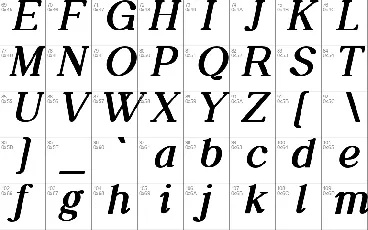 Daily Magazine Family font