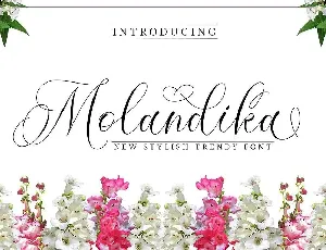 Molandika Calligraphy Free font