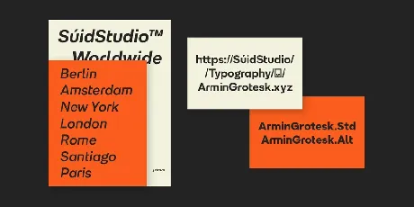 Armin Grotesk Family font