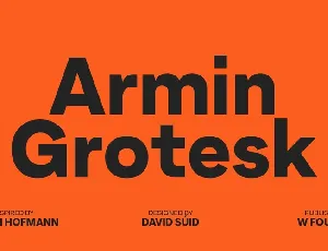 Armin Grotesk Family font