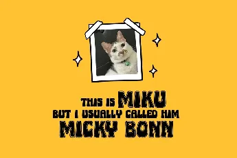 Micky Bonn font