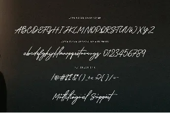 Wantsignature font