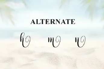 Beach Script font