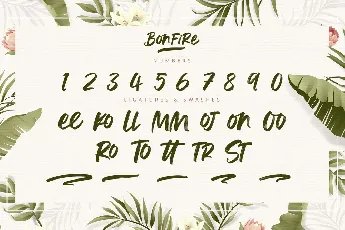 Bonfire Brush font