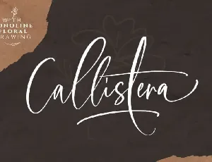 Callistera Script font