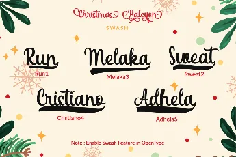 Christmas Halcyon Personal Use font