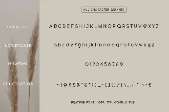 Quinnie font