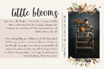 Autumn Love Demo Beck McCormick font