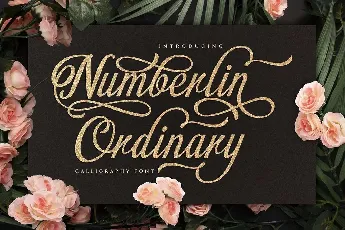 Numberlin Ordinary font