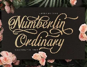 Numberlin Ordinary font