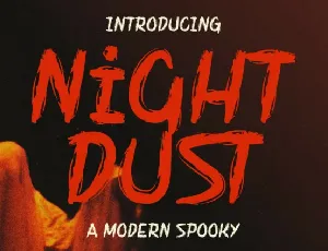 Night Dust Display font