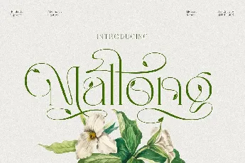 Mallong font