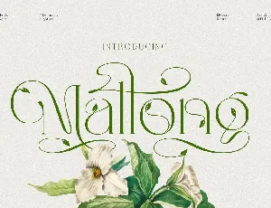 Mallong font