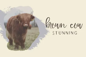 Farmhouse Country Demo Beck McCormick font