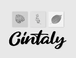 Cintaly font