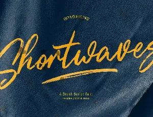 Shortwaves Brush font