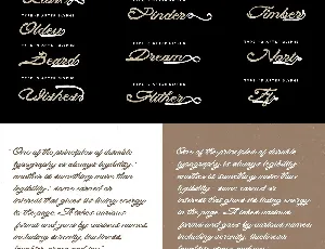 Real Stones Script Free font