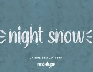 Night Snow Demo font