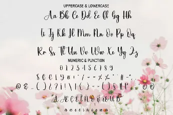 Flowerpink font