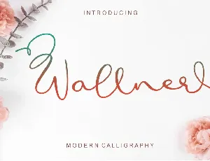 Wallner - Personal Use font