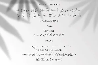 Astagina Signature font