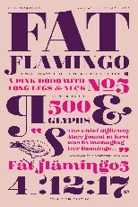 Fat Flamingo 5 font