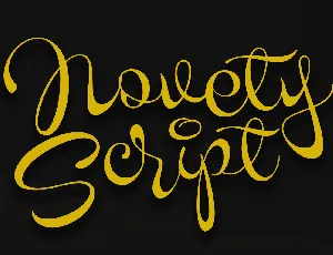 Novety Script PERSONAL USE ONLY font